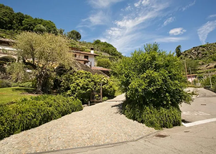 Hills Of -lake View Total Relaxation - Ac - Wifi Lejlighed Domaso